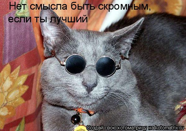 Нет смысла быть скромным, если ты лучший... Котоматрица: Нет смысла быть скромным, если ты лучший