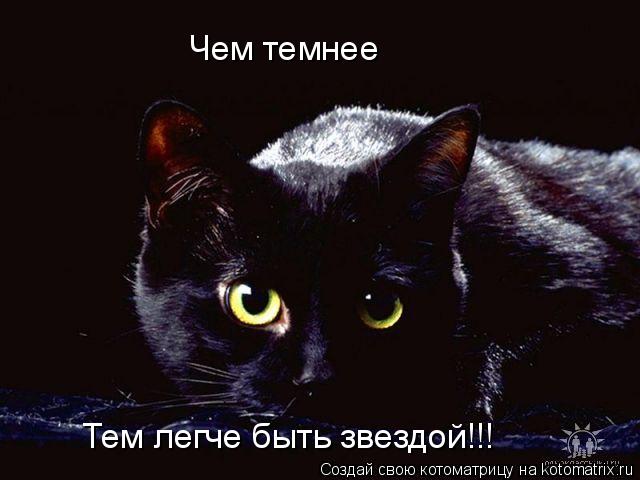 Котоматрица: Чем темнее Тем легче быть звездой!!!