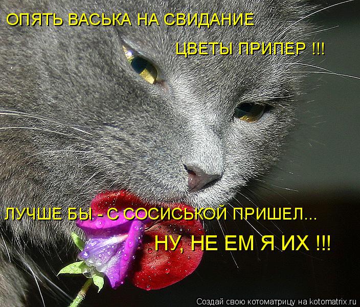 ОПЯТЬ ВАСЬКА НА СВИДАНИЕ ЦВЕТЫ ПРИПЕР !!! ЛУЧШЕ БЫ - С СОСИСЬКОЙ ПРИШЕЛ... НУ, НЕ ЕМ Я ИХ !!!... Котоматрица: ОПЯТЬ ВАСЬКА НА СВИДАНИЕ ЦВЕТЫ ПРИПЕР !!! ЛУЧШЕ БЫ - С СОСИСЬКОЙ ПРИШЕЛ... НУ, НЕ ЕМ Я ИХ !!!