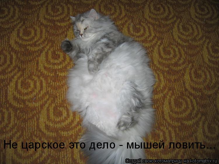 Не царское это дело - мышей ловить...... Котоматрица: Не царское это дело - мышей ловить...