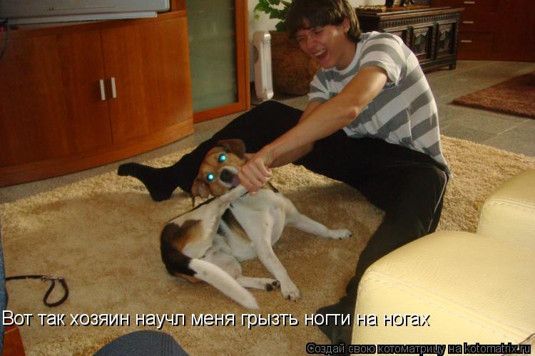 Вот так хозяин научл меня грызть ногти на ногах... Котоматрица: Вот так хозяин научл меня грызть ногти на ногах
