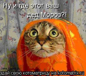 Ну и где этот ваш дед Мороз?!... Котоматрица: Ну и где этот ваш дед Мороз?!