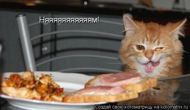 Няяяяяяяяяяям!... Котоматрица: Няяяяяяяяяяям!