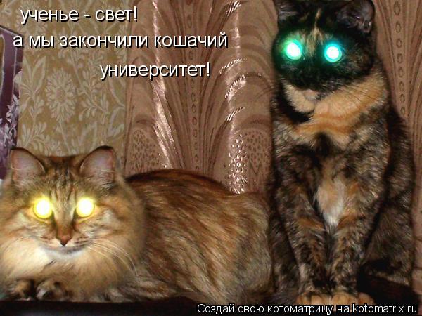 Котоматрица: ученье - свет! а мы закончили кошачий  университет!