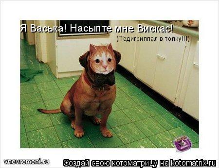 Котоматрица: Я Васька! Насыпте мне Вискас! (Педигриппал в топку!!!)
