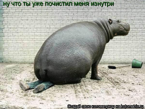 Котоматрица: ну что ты уже почистил меня изнутри