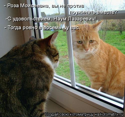 Котоматрица: поужинать вместе? - Роза Моисеевна, вы не против  -С удовольствием, Наум Лазаревич! - Тогда ровно в восемь - у вас.