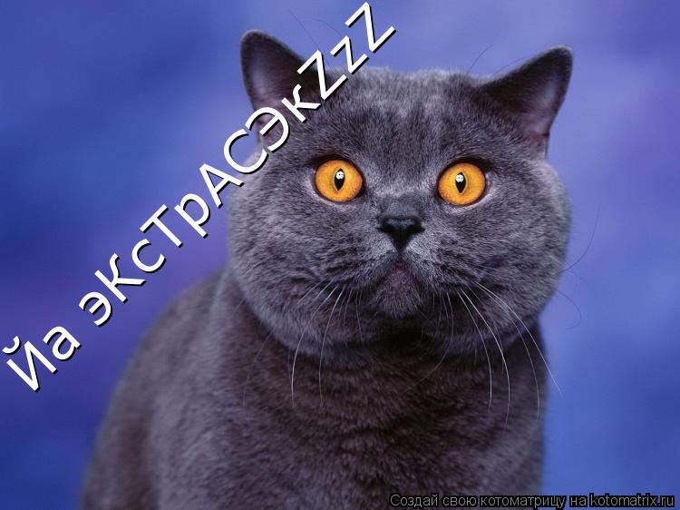 Йа эКсТрАСЭкZzZ Йа эКсТрАСЭкZzZ... Котоматрица: Йа эКсТрАСЭкZzZ Йа эКсТрАСЭкZzZ