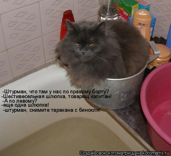 Котоматрица: -Штурман, что там у нас по правому борту?  -Шестивесельная шлюпка, товарищ капитан!  -А по левому? -еще одна шлюпка!  -штурман, снимите таракана 