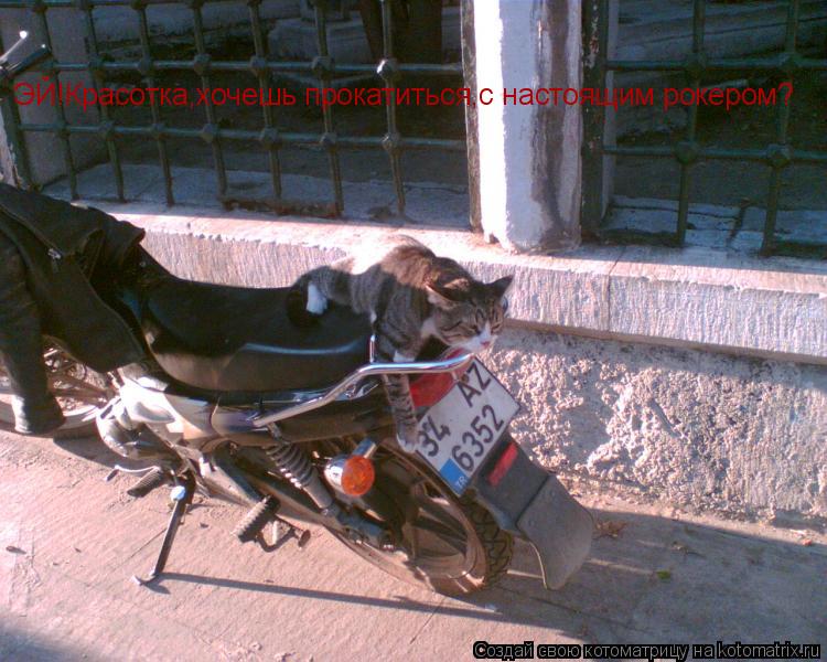 Котоматрица: ЭЙ!Красотка,хочешь прокатиться,с настоящим рокером?