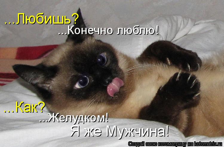 ...Любишь? ...Конечно люблю! ...Как? ...Желудком! Я же Мужчина!... Котоматрица: ...Любишь? ...Конечно люблю! ...Как? ...Желудком! Я же Мужчина!