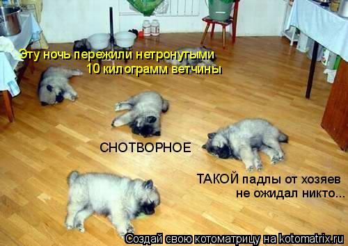 Эту ночь пережили нетронутыми 10 килограмм ветчины СНОТВОРНОЕ ТАКОЙ падлы от хозяев не ожидал никто..... Котоматрица: Эту ночь пережили нетронутыми 10 килограмм ветчины СНОТВОРНОЕ ТАКОЙ падлы от хозяев не ожидал никто...