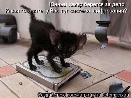 Котоматрица: Юнный хакер берется за дело Какая говорите  у Вас тут система шифрования?