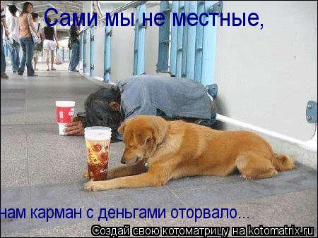 Сами мы не местные, нам карман с деньгами оторвало...... Котоматрица: Сами мы не местные, нам карман с деньгами оторвало...