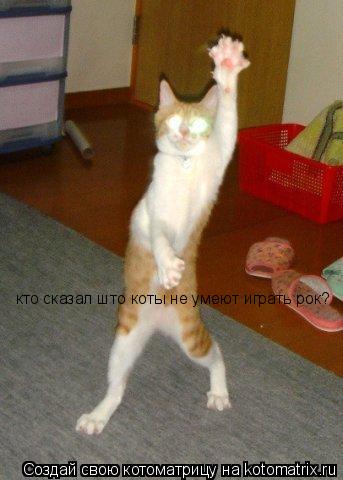 кто сказал што коты не умеют играть рок?... Котоматрица: кто сказал што коты не умеют играть рок?