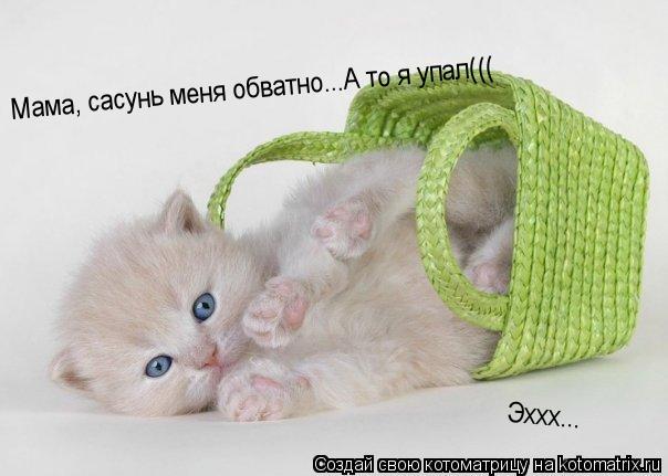 Мама, сасунь меня обватно...А то я упал((( Эххх...... Котоматрица: Мама, сасунь меня обватно...А то я упал((( Эххх...