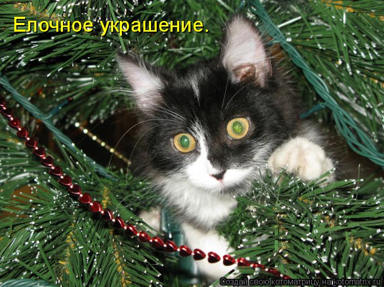 Елочное украшение.... Котоматрица: Елочное украшение.