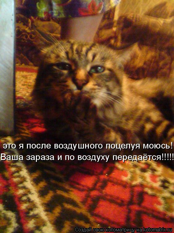 Котоматрица: это я после воздушного поцелуя моюсь! Ваша зараза и по воздуху передаётся!!!!!!!!