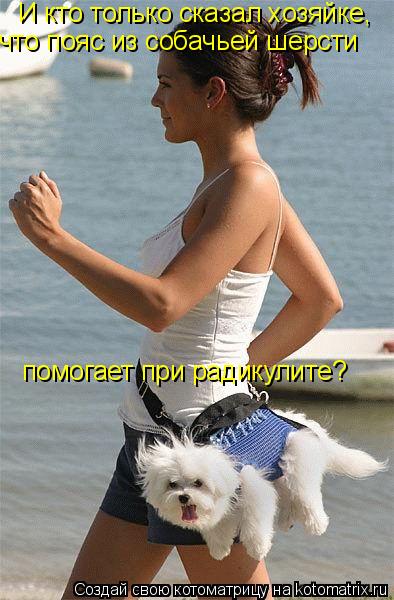 Котоматрица: И кто только сказал хозяйке, что пояс из собачьей шерсти помогает при радикулите?
