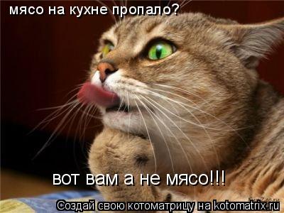 мясо на кухне пропало? вот вам а не мясо!!!... Котоматрица: мясо на кухне пропало? вот вам а не мясо!!!