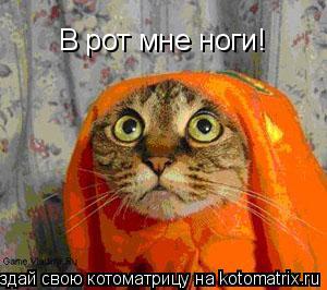 В рот мне ноги!... Котоматрица: В рот мне ноги!