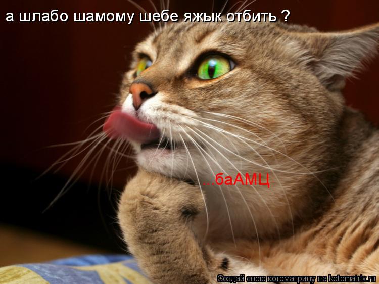 а шлабо шамому шебе яжык отбить ? ...баАМЦ... Котоматрица: а шлабо шамому шебе яжык отбить ? ...баАМЦ