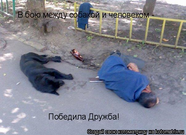Котоматрица: В бою между собакой и человеком - Победила Дружба!