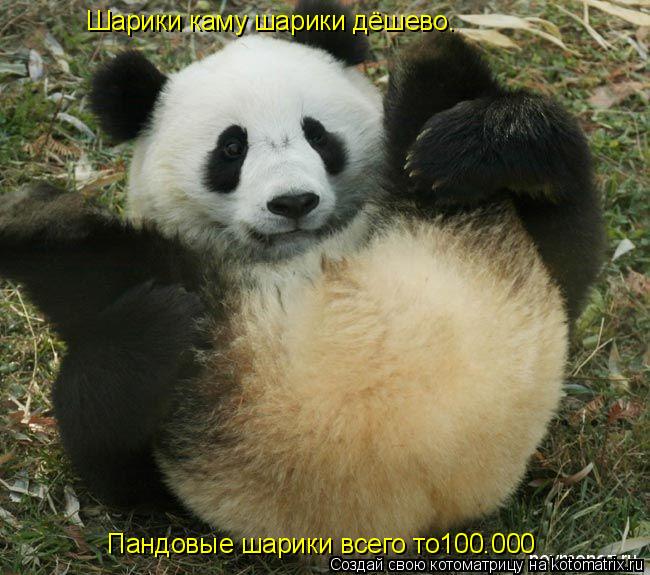 Шарики каму шарики дёшево. Пандовые шарики всего то100.000... Котоматрица: Шарики каму шарики дёшево. Пандовые шарики всего то100.000