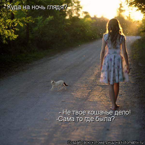 - Куда на ночь глядя? - Не твое кошачье дело! -Сама то где была?... Котоматрица: - Куда на ночь глядя? - Не твое кошачье дело! -Сама то где была?