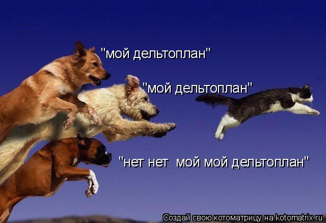 "нет нет мой мой дельтоплан" "мой дельтоплан" "мой дельтоплан"... Котоматрица: "нет нет мой мой дельтоплан" "мой дельтоплан" "мой дельтоплан"