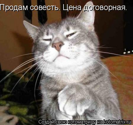 Котоматрица: Продам совесть. Цена договорная.