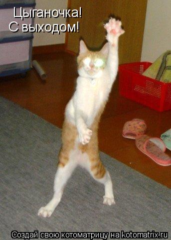 Котоматрица: Цыганочка! С выходом!