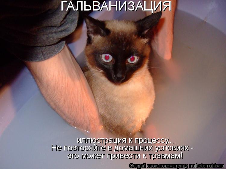 Котоматрица: ГАЛЬВАНИЗАЦИЯ иллюстрация к процессу... Не повторяйте в домашних условиях -  это может привести к травмам!