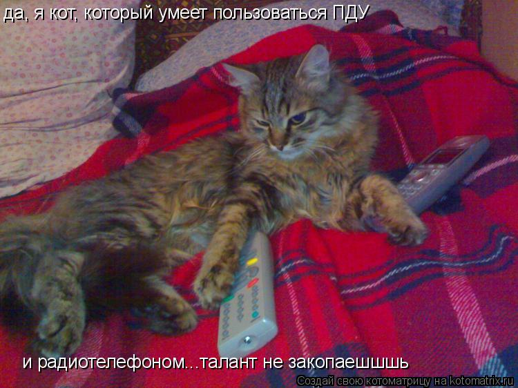 Котоматрица: да, я кот, который умеет пользоваться ПДУ и радиотелефоном...талант не закопаешшшь и радиотелефоном...талант не закопаешшшь