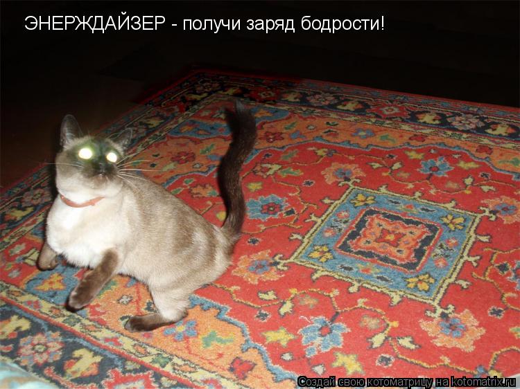 ЭНЕРЖДАЙЗЕР - получи заряд бодрости!... Котоматрица: ЭНЕРЖДАЙЗЕР - получи заряд бодрости!