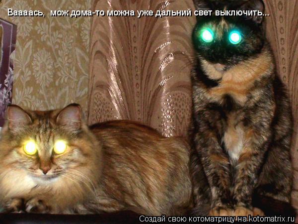 Ваааась, мож дома-то можна уже дальний свет выключить...... Котоматрица: Ваааась, мож дома-то можна уже дальний свет выключить...