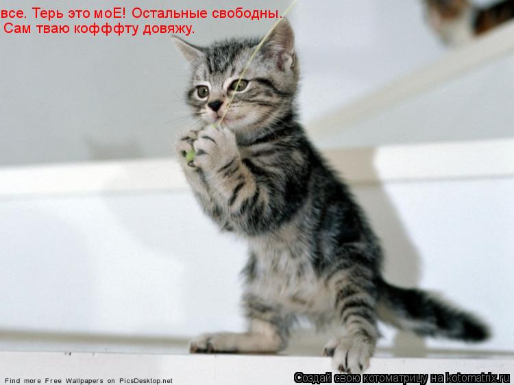 Котоматрица: все. Терь это моЕ! Остальные свободны. Сам тваю кофффту довяжу.