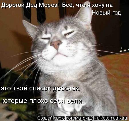 Котоматрица: Дорогой Дед Мороз!  Всё, что я хочу на   Новый год    это твой список девочек,     которые плохо себя вели.
