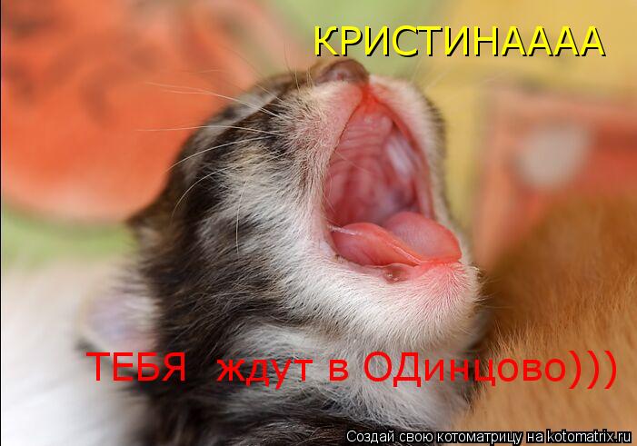 Котоматрица: КРИСТИНАААА ТЕБЯ  ждут в ОДинцово)))