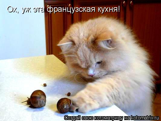 Котоматрица: Ох, уж эта французская кухня!