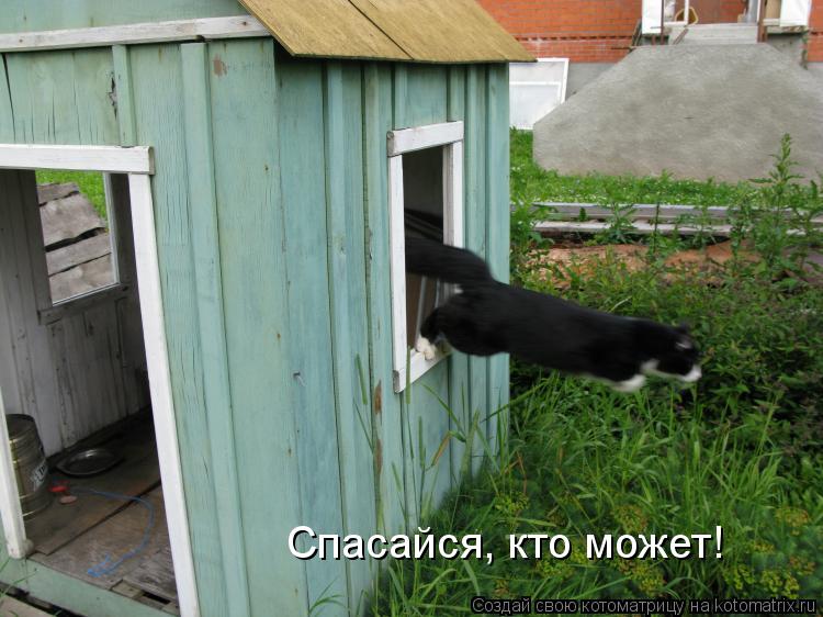 Спасайся, кто может!... Котоматрица: Спасайся, кто может!