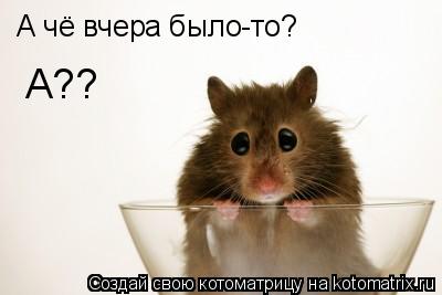 Котоматрица: А чё вчера было-то? А??