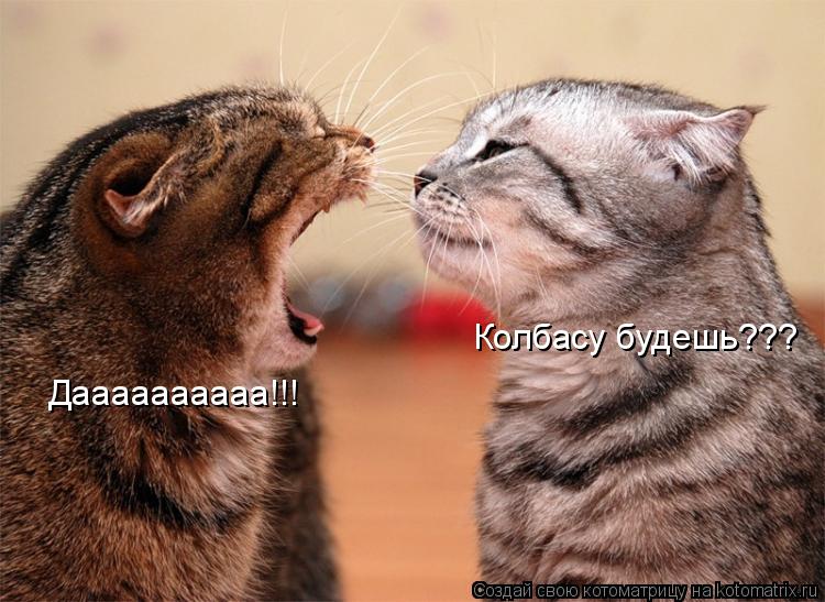 Котоматрица: Даааааааааа!!! Колбасу будешь???