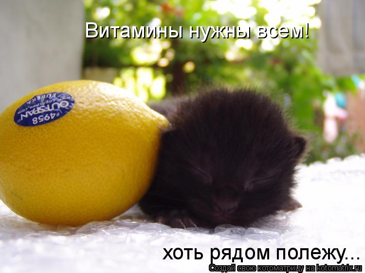 Витамины нужны всем! хоть рядом полежу...... Котоматрица: Витамины нужны всем! хоть рядом полежу...