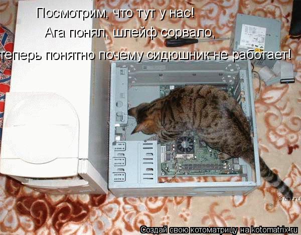 Посмотрим, что тут у нас! Ага понял, шлейф сорвало, теперь понятно почему сидюшник не работает!... Котоматрица: Посмотрим, что тут у нас! Ага понял, шлейф сорвало, теперь понятно почему сидюшник не работает!