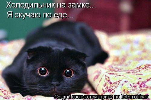 Холодильник на замке... Я скучаю по еде...... Котоматрица: Холодильник на замке... Я скучаю по еде...