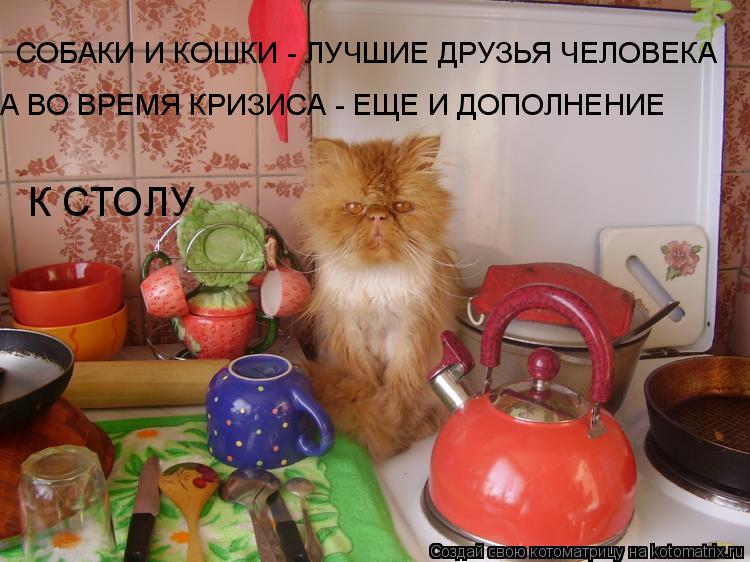 Котоматрица: СОБАКИ И КОШКИ - ЛУЧШИЕ ДРУЗЬЯ ЧЕЛОВЕКА А ВО ВРЕМЯ КРИЗИСА - ЕЩЕ И ДОПОЛНЕНИЕ К СТОЛУ