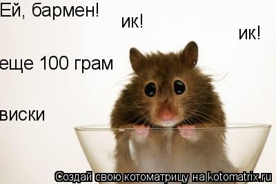 Ей, бармен! ик! еще 100 грам виски ик!... Котоматрица: Ей, бармен! ик! еще 100 грам виски ик!