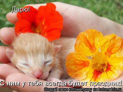 Дарю! С ним у тебя всегда будет праздник!... Котоматрица: Дарю! С ним у тебя всегда будет праздник!