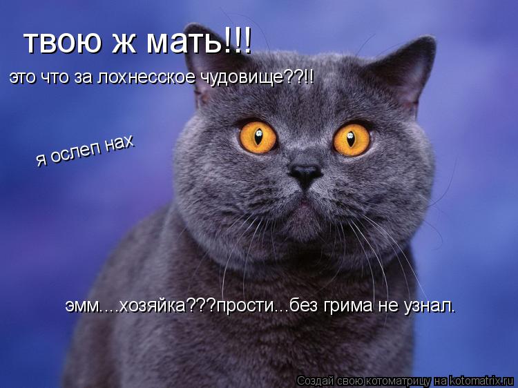 Котоматрица: твою ж мать!!! эмм....хозяйка???прости...без грима не узнал. это что за лохнесское чудовище??!! я ослеп нах
